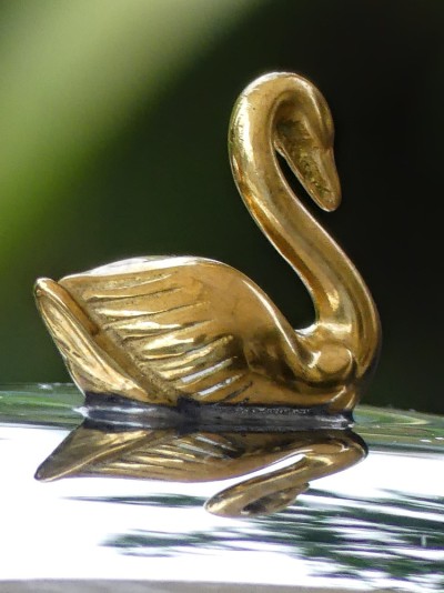 Detail der Glosche – der goldene Schwan