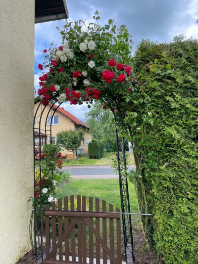 Saisonstart Sommerterrasse 2026