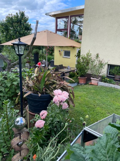 Saisonstart Sommerterrasse 2026